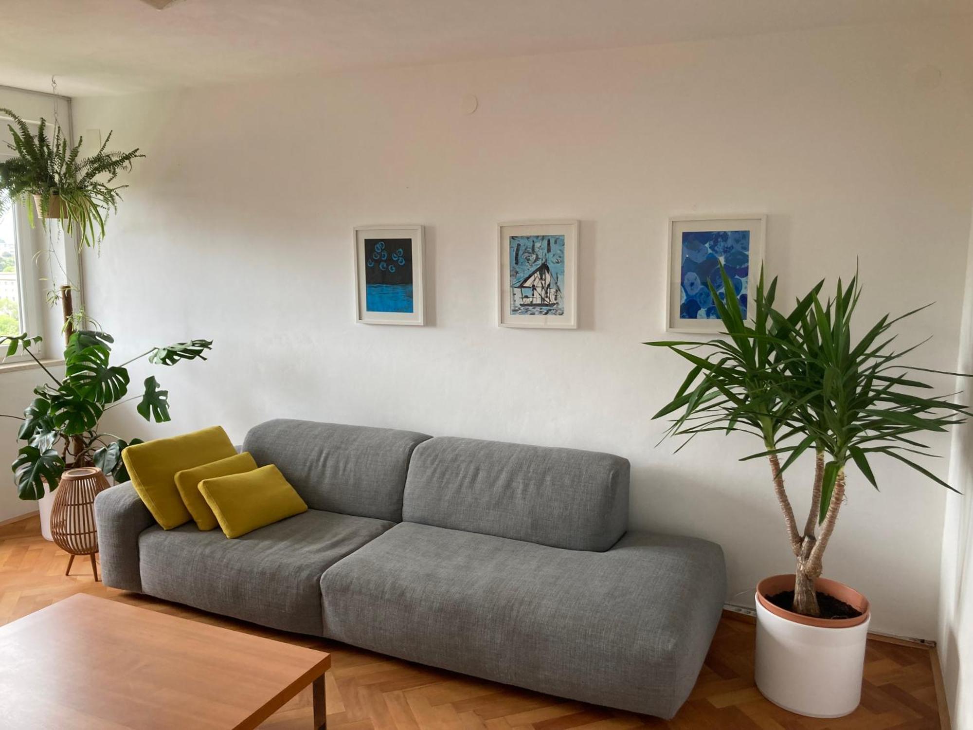 Apartamento Zara Pula Exterior foto